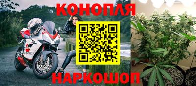 ECSTASY Гусев
