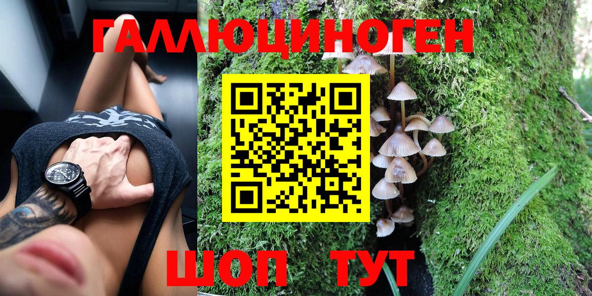 Псилоцибиновые грибы прущие грибы Мыски