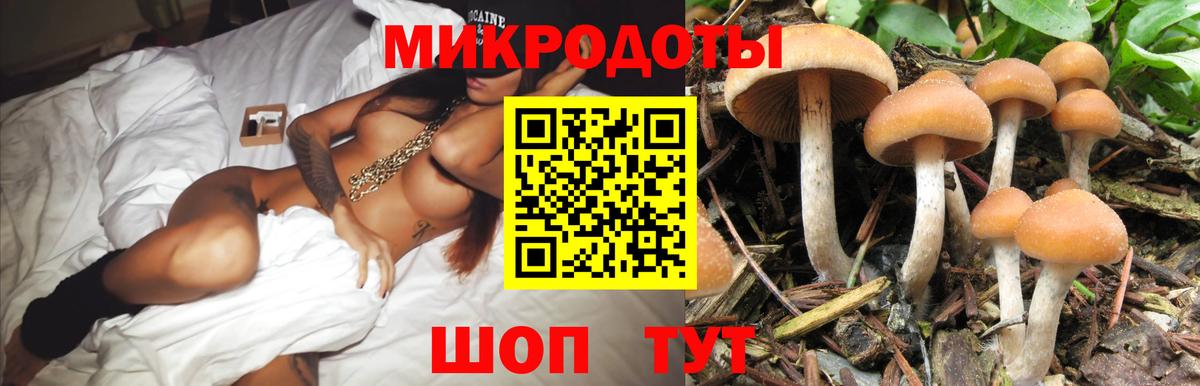Псилоцибиновые грибы мухоморы  Вход с VPN  Мыски  Псилоцибиновые грибы мухоморы 